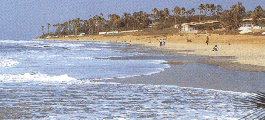 gambia